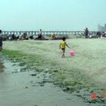 Litter at Coney Island Beach