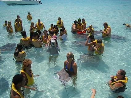 Navigator Stingray City Grand Cayman 028