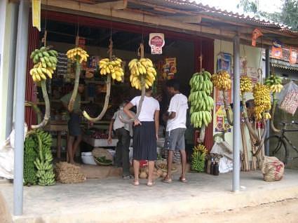banana stand Hikkaduwa beach