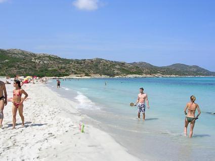 Corse  2004 saleccia 006