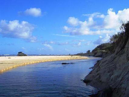 Australia-092 Some cars on the beach near Eli Creek on Fraser Island