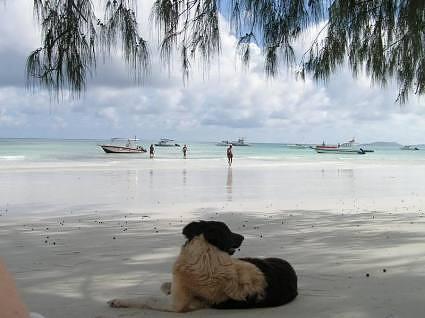 Seychelles, Mahe, Berjaya Beau Vallon Bay
