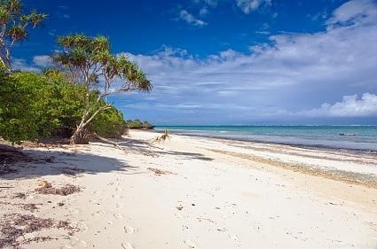 The rocks are coralline formations