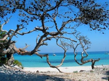 -desert-saleccia-corsica