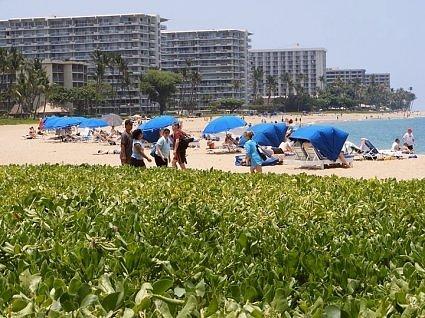 Sheraton Maui view of Kaanapali beach