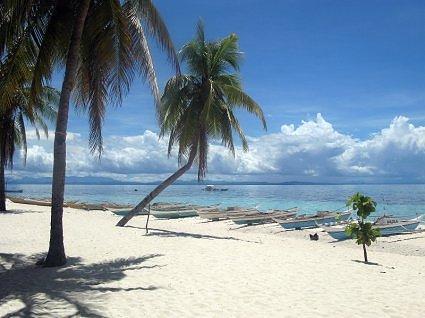 p1260 -212 - bancas on the beach at malapascua