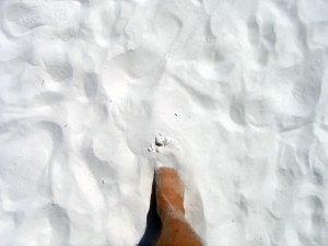 Siesta Key Quartz Sand Beach, Sarasota, Florida