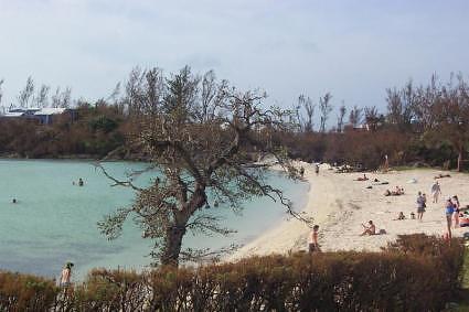 Shelly Bay Bermuda Best snorkeling