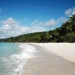 Trunk Bay St John USVI