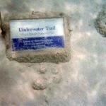 Underwater Trail Trunk Bay St John USVI