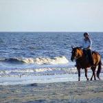 Cape Florida State Park in Key Biscayne, Florida