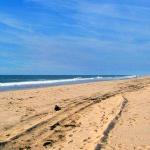 Main Beach in East Hampton, New York