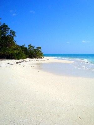 deserted beach Barbuda