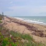 Phipps Ocean Park, Palm Beach, Florida