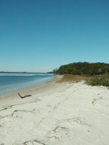 Guana River State Park, Florida - Tolomato River