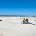 Best Beach on Big and Little Talbot Island State Park
