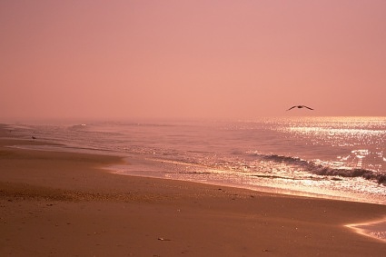 St George Island State Park