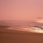 St. George Island State Park, Florida Panhandle