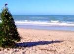 Christmas on the Beach