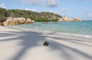 Lizard Island, Queensland