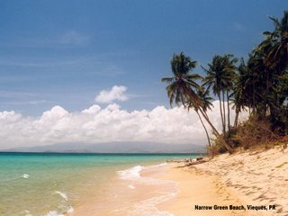 Picture of Narrow Green Beach, Puerto Rico