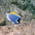 Anse Lazio Praslin Seychelles