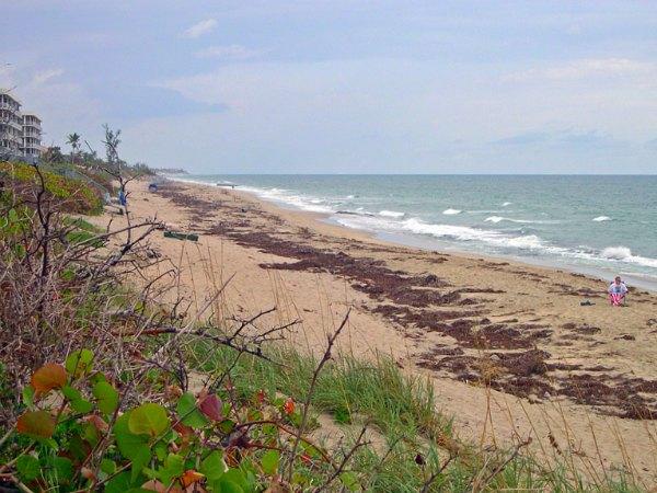 Phipps Ocean Park, Palm Beach, Florida