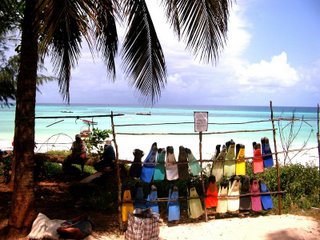 Go snorkeling at Jambiani Beach - Zanzibar Tanzania