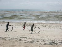 Boys playing, seaweed along Jambiani Beach - Zanzibar Tanzania