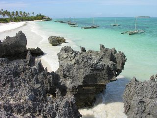 Fishing boats along Matemwe Beach - Zanzibar Tanzania